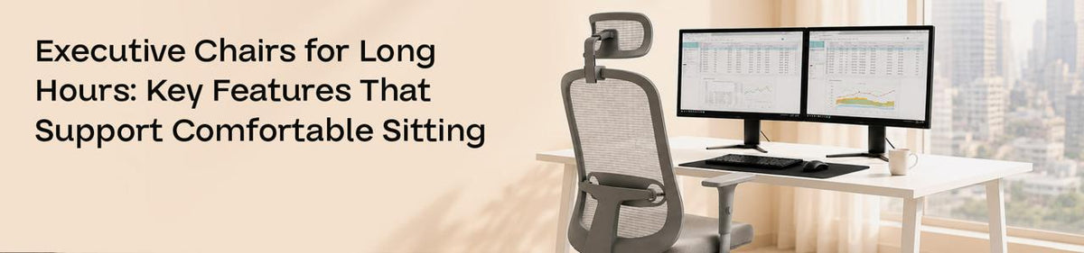 Executive Chairs for Long Hours: Key Features That Support Comfortable Sitting