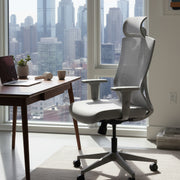 Aura Grey Ergonomic Chair
