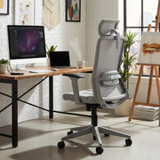 Oasis Grey Ergonomic Chair