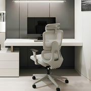 Maestro Premium Ergonomic Chair