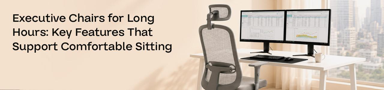 Executive Chairs for Long Hours: Key Features That Support Comfortable Sitting