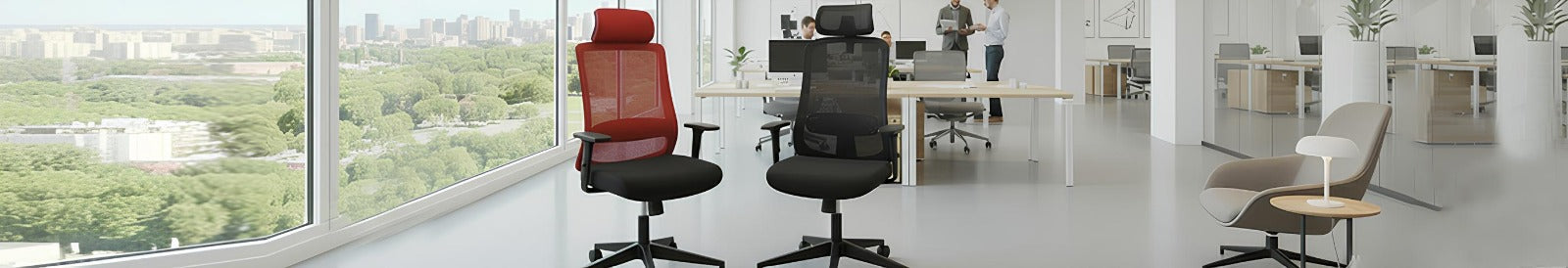Ergonomic Chairs